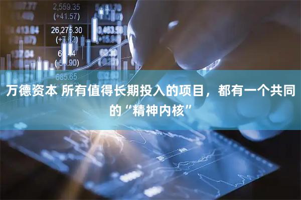 万德资本 所有值得长期投入的项目，都有一个共同的“精神内核”