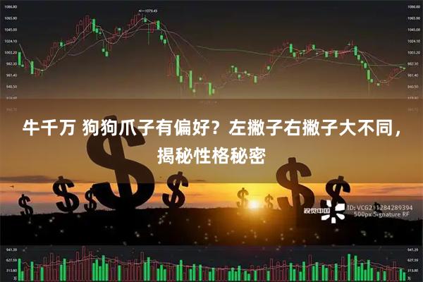 牛千万 狗狗爪子有偏好？左撇子右撇子大不同，揭秘性格秘密