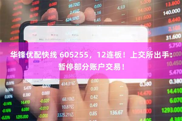 华锋优配快线 605255，12连板！上交所出手：暂停部分账户交易！