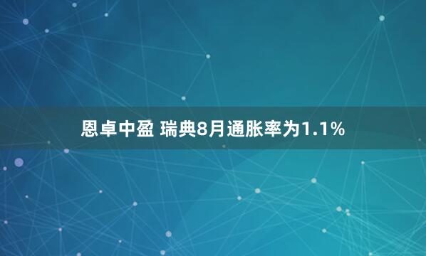 恩卓中盈 瑞典8月通胀率为1.1%